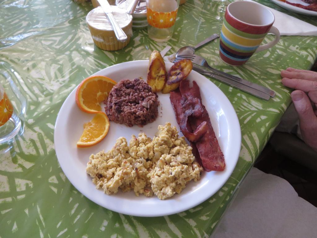 Cariari Bed and breakfast San José